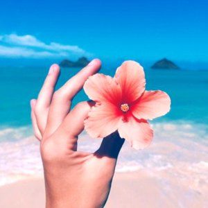 Meet your Posher, Maria